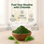 Chlorella Powder